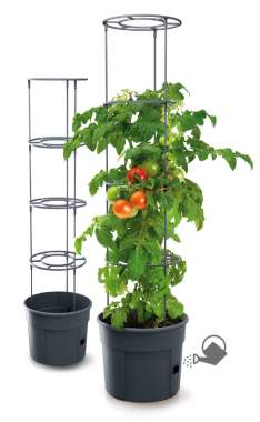 PROSPERPLAST Γλαστράκι Tomato Grower ∅39,2 cm IPOM400-S433