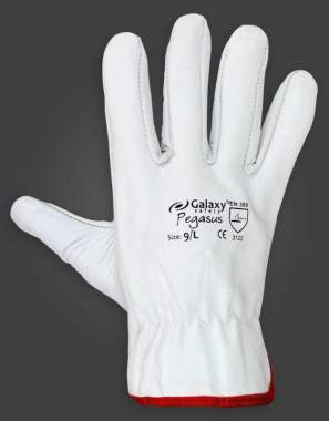Γάντια δερμάτινα Galaxy Pegasus 251
